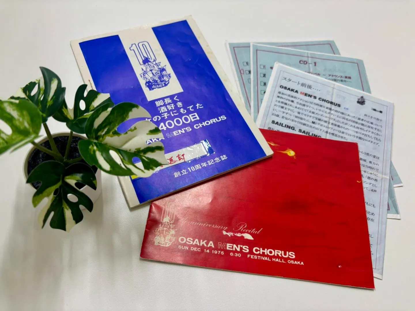 お客様から素敵な「差入れ」を頂戴しました✨